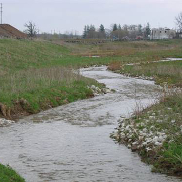 Realignment of West Tributary of Sixteen Mile Creek